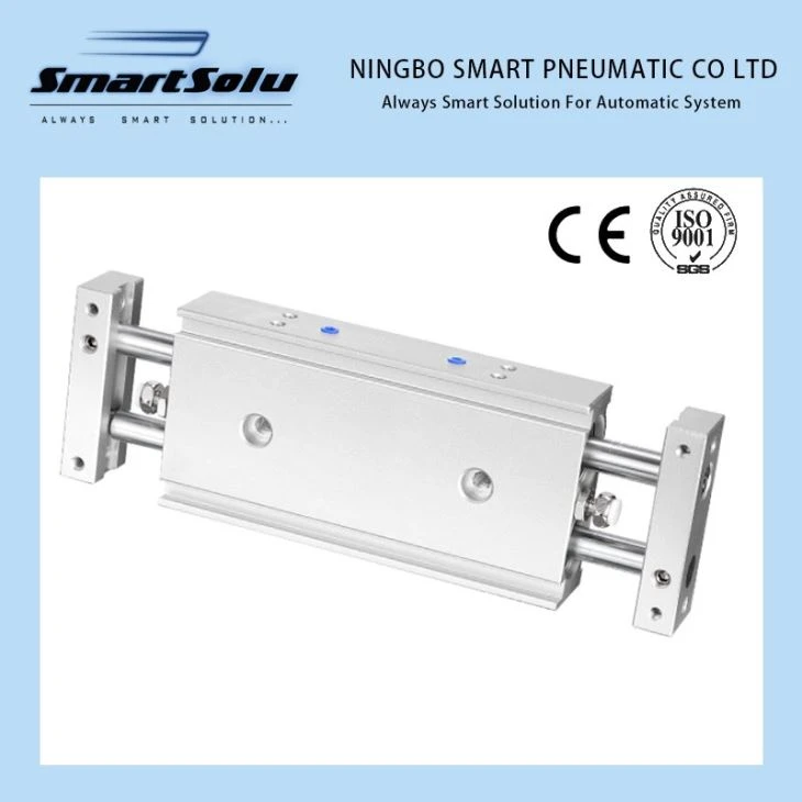 CXSW Series Double Rod Cylinder